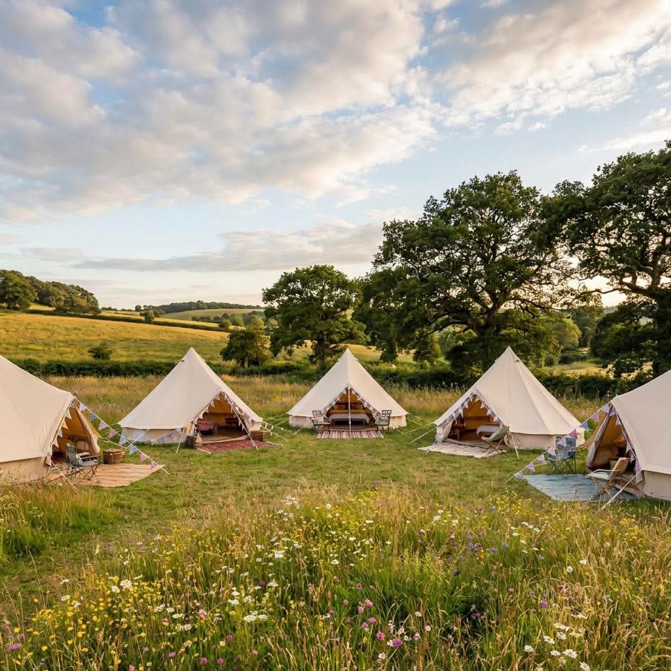 Bell tents set up in a meadow for a wedding glamping village